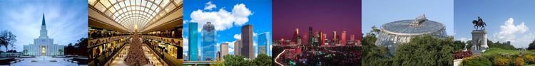 2014 IMIA Conference, Houston, Texas